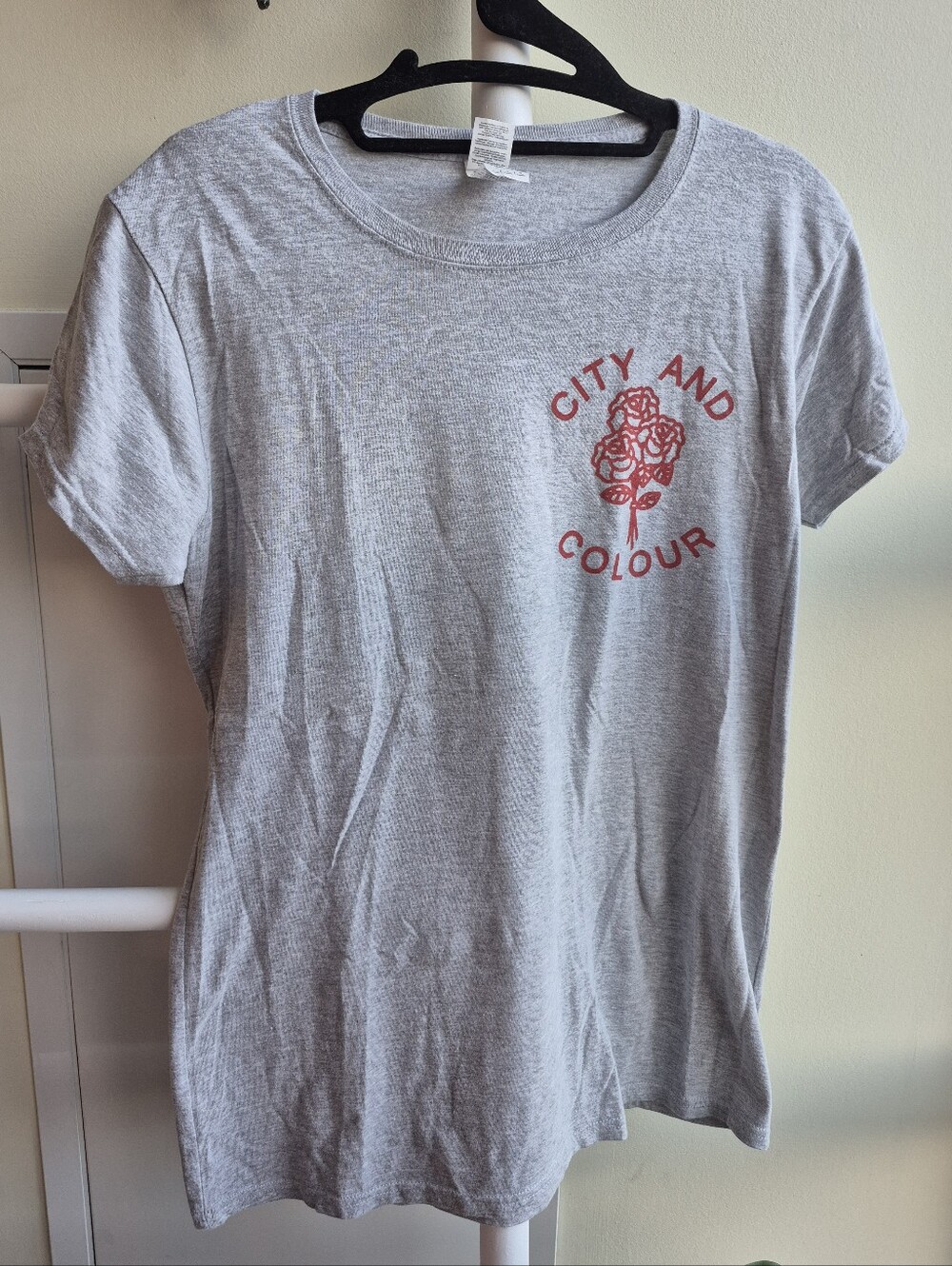 City and Colour Official T-shirt -- Roses